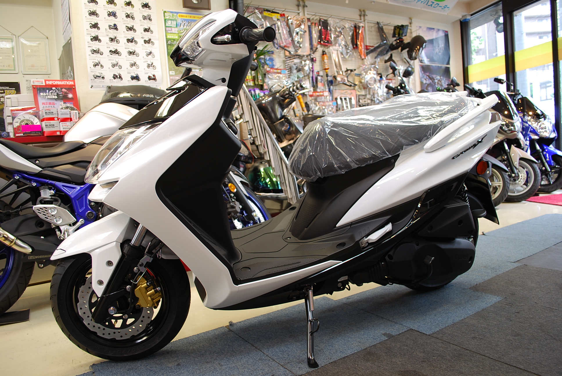 17 シグナス　各色 060